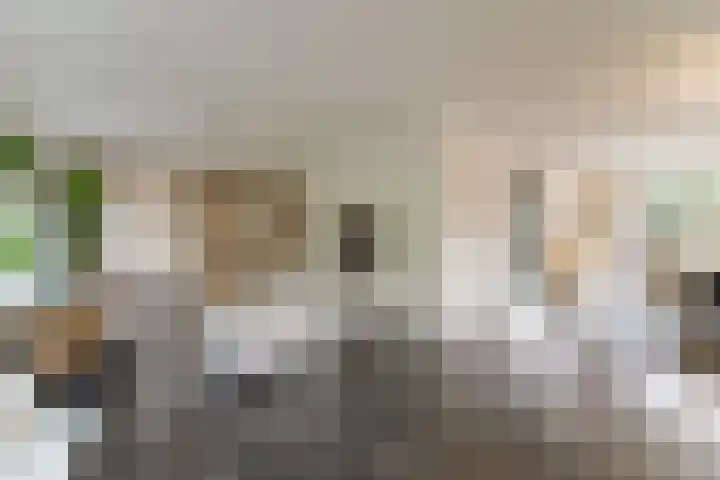 Oeverwal 2 Hoogwoud thumbnail 15