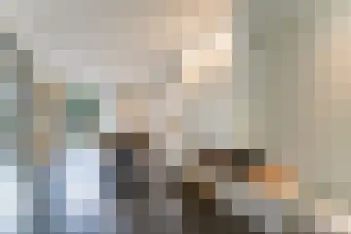 Oeverwal 2 Hoogwoud thumbnail 16