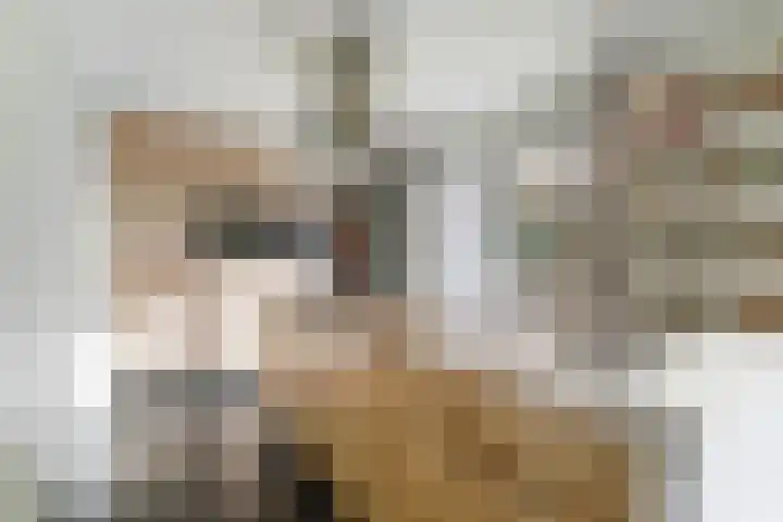 Oeverwal 2 Hoogwoud thumbnail 24