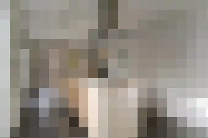 Oeverwal 2 Hoogwoud thumbnail 26