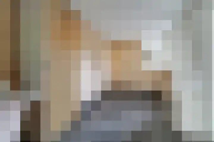 Oeverwal 2 Hoogwoud thumbnail 27