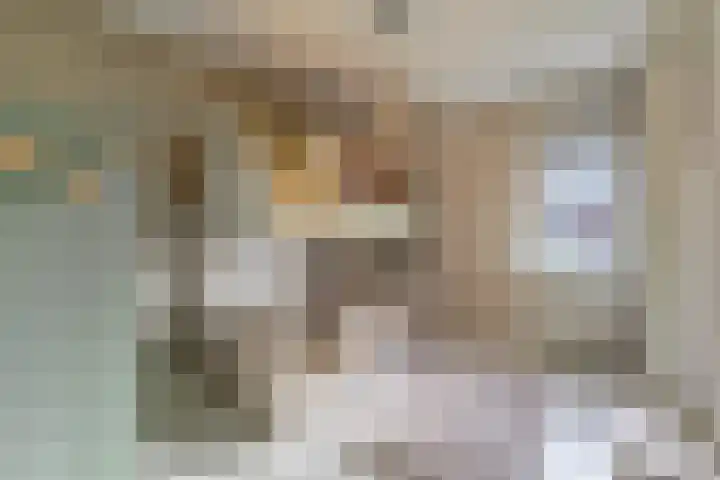 Oeverwal 2 Hoogwoud thumbnail 33