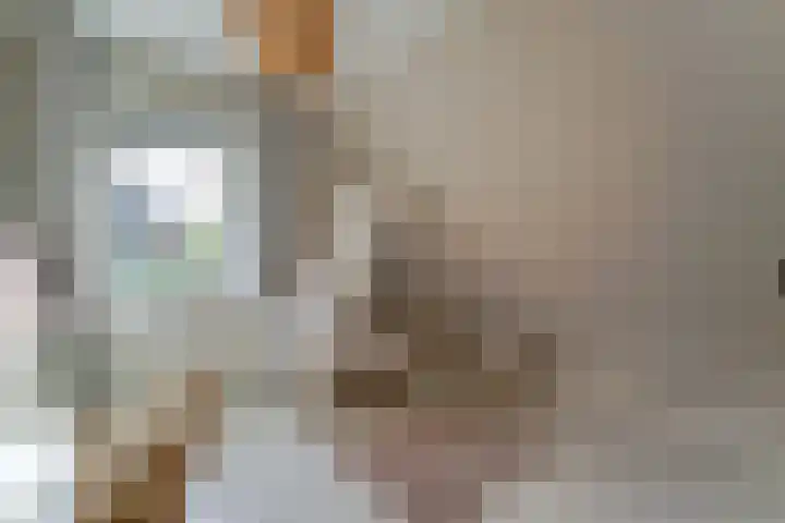Oeverwal 2 Hoogwoud thumbnail 36