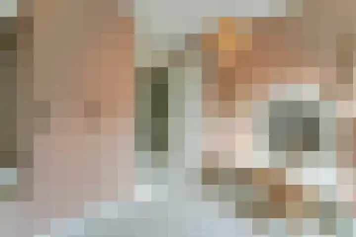 Oeverwal 2 Hoogwoud thumbnail 38