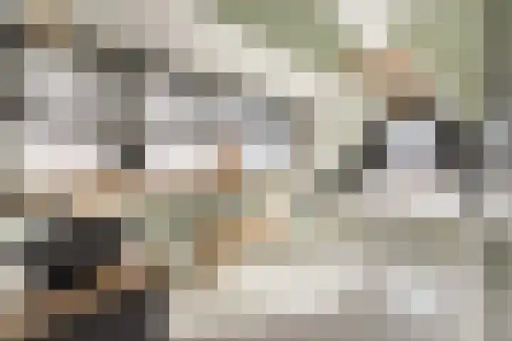 Oeverwal 2 Hoogwoud thumbnail 39
