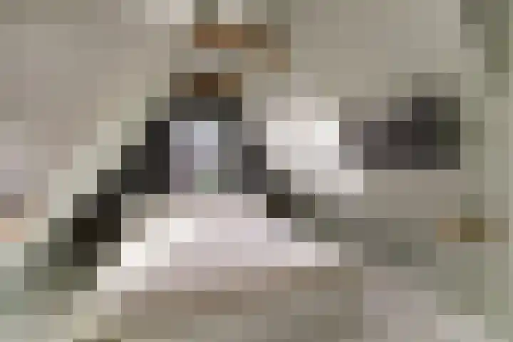 Oeverwal 2 Hoogwoud thumbnail 40
