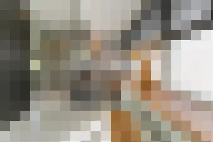 Oeverwal 2 Hoogwoud thumbnail 41