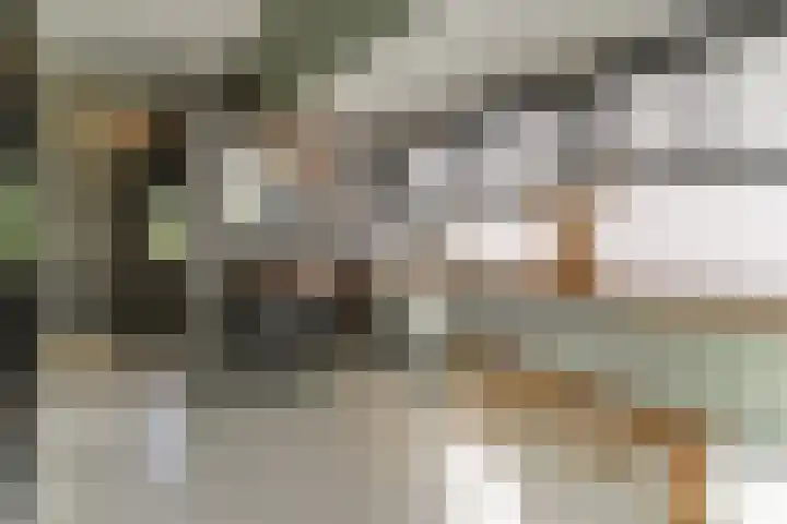 Oeverwal 2 Hoogwoud thumbnail 42