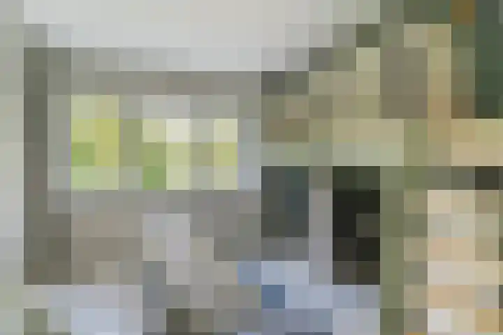Oeverwal 2 Hoogwoud thumbnail 45