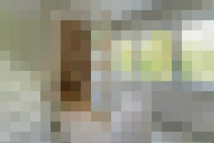 Oeverwal 2 Hoogwoud thumbnail 46