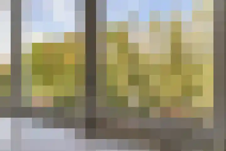 Oeverwal 2 Hoogwoud thumbnail 47
