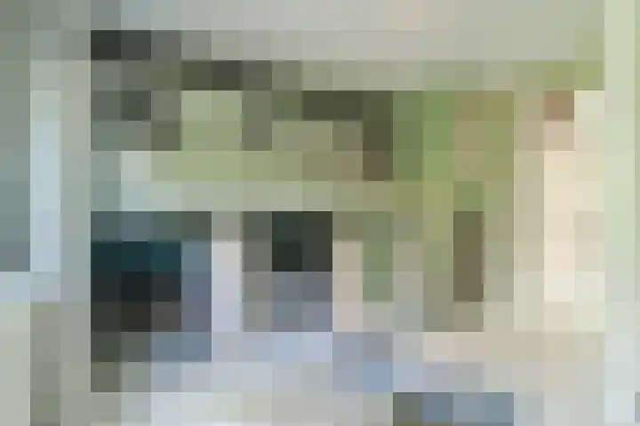 Oeverwal 2 Hoogwoud thumbnail 49