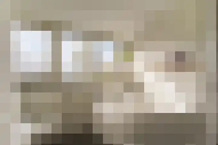Oeverwal 2 Hoogwoud thumbnail 51