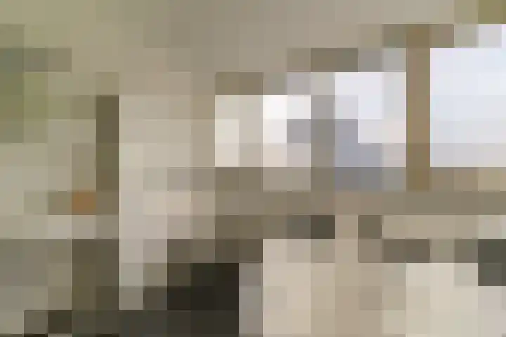 Oeverwal 2 Hoogwoud thumbnail 53