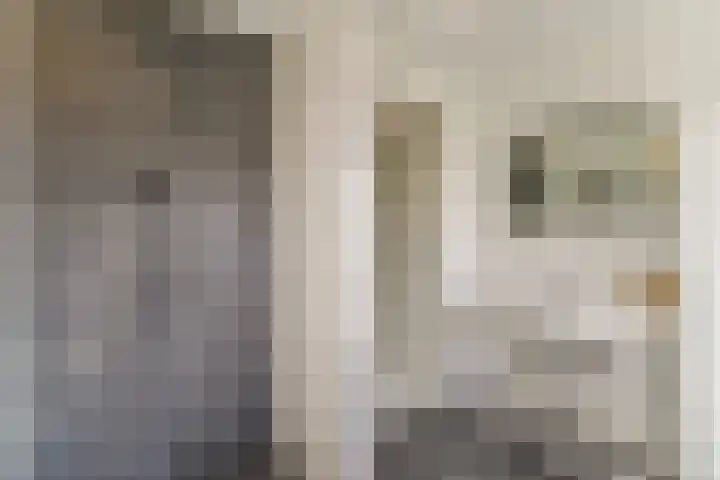 Oeverwal 2 Hoogwoud thumbnail 54