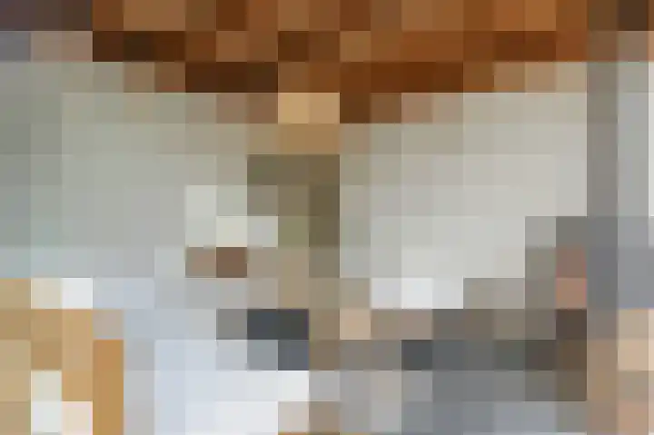 Oeverwal 2 Hoogwoud thumbnail 63