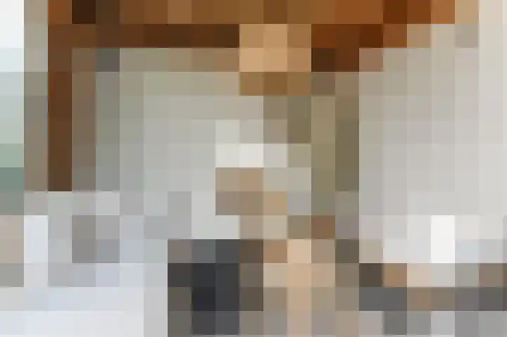 Oeverwal 2 Hoogwoud thumbnail 64