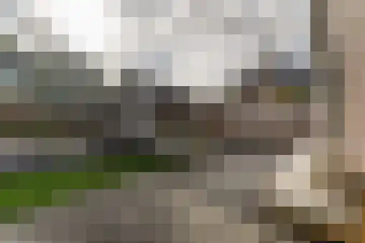 Oeverwal 2 Hoogwoud thumbnail 66