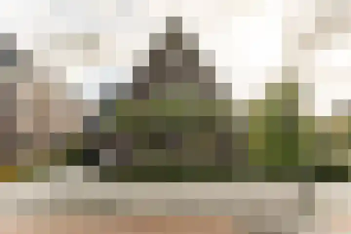 Oeverwal 2 Hoogwoud thumbnail 70