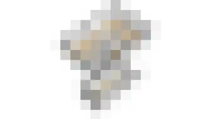 Oeverwal 2 Hoogwoud thumbnail 73