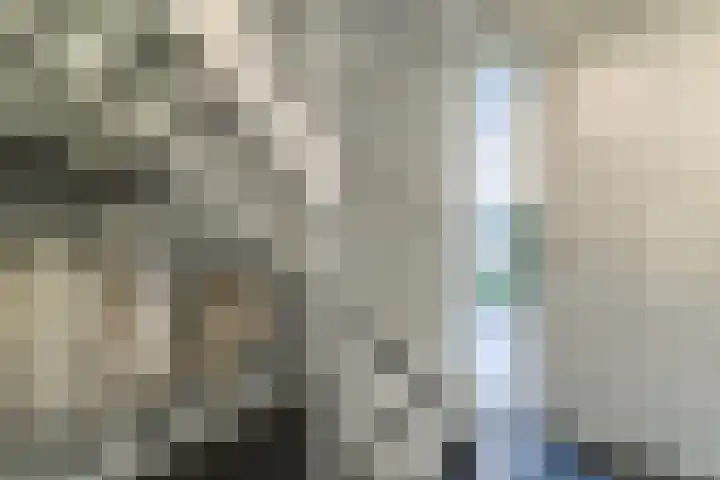 Oeverwal 2 Hoogwoud thumbnail 9