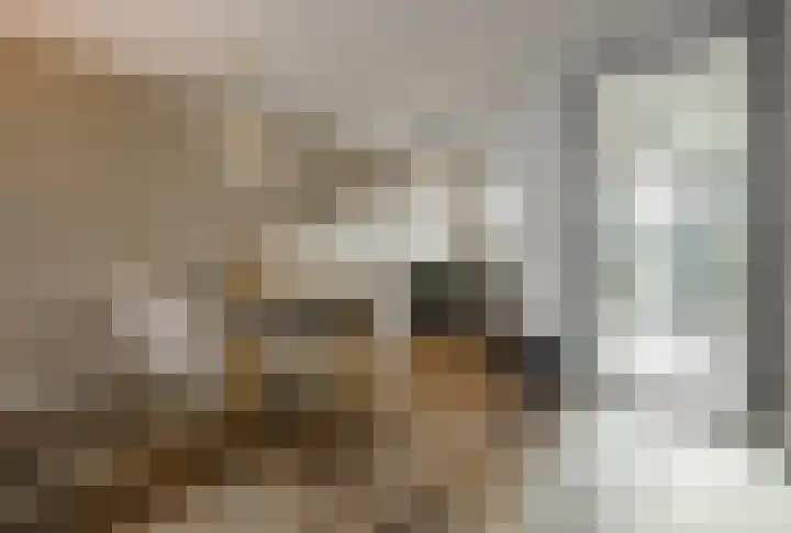Oeverwal 28 Ammerzoden thumbnail 13