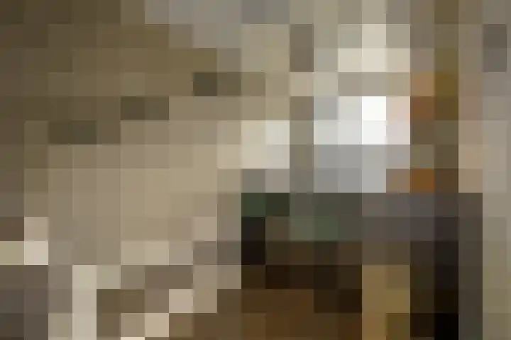 Oeverwal 28 Ammerzoden thumbnail 14