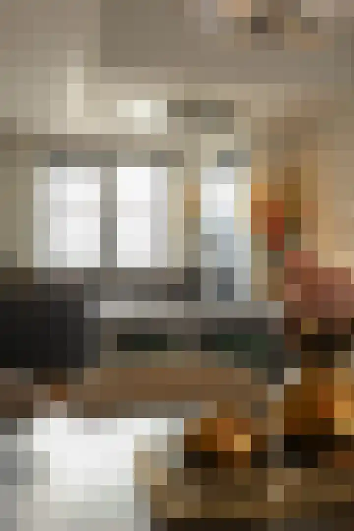 Oeverwal 28 Ammerzoden thumbnail 15