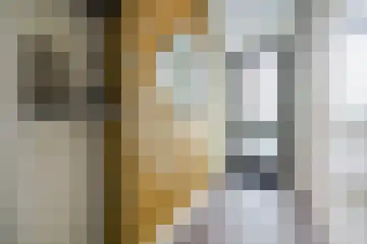Oeverwal 28 Ammerzoden thumbnail 18