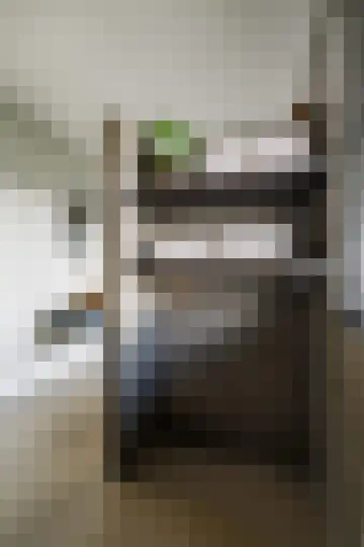 Oeverwal 28 Ammerzoden thumbnail 27