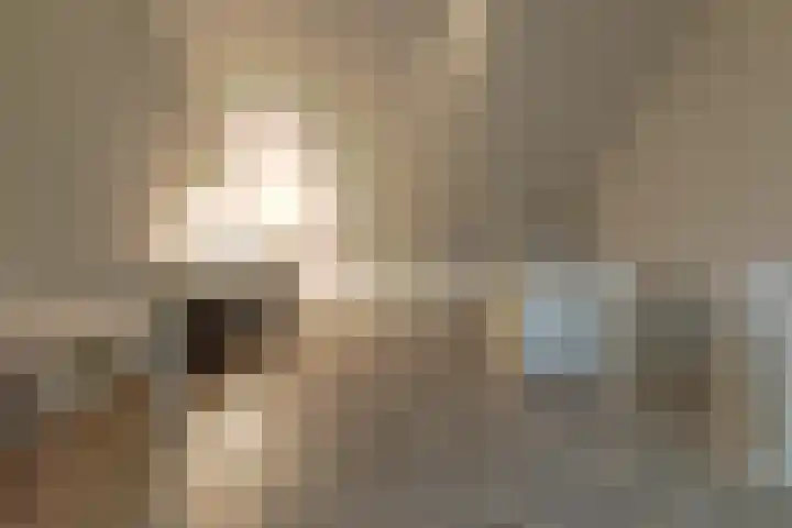 Oeverwal 28 Ammerzoden thumbnail 38