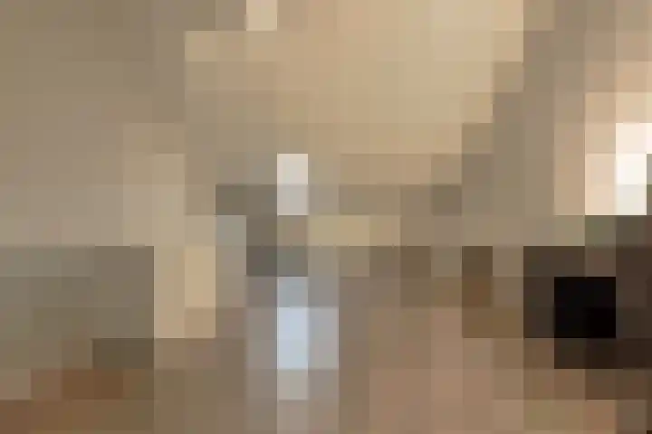 Oeverwal 28 Ammerzoden thumbnail 39