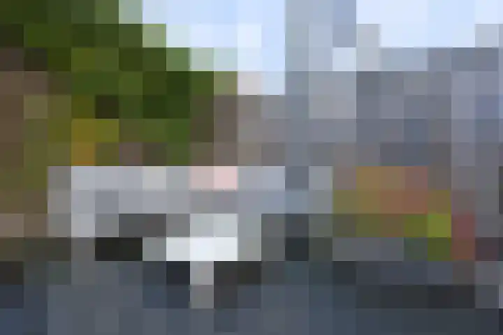 Oeverwal 28 Ammerzoden thumbnail 45
