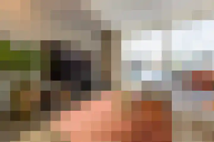 Oeverwal 28 Ammerzoden thumbnail 5