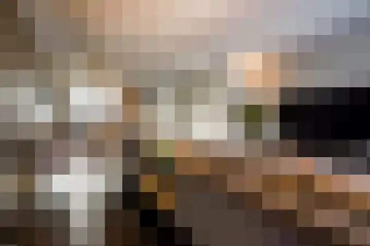 Oeverwal 28 Ammerzoden thumbnail 7