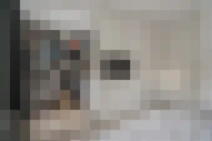 Oeverwal 3 Ammerzoden thumbnail 21
