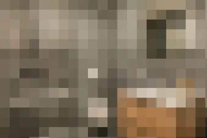 Oeverwal 3 Ammerzoden thumbnail 23