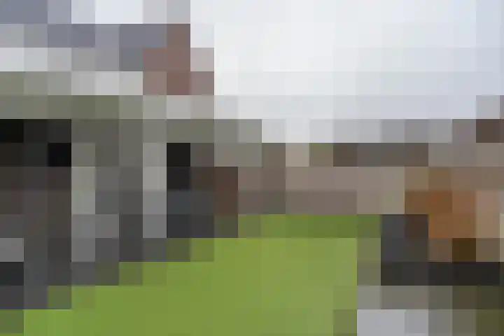 Oeverwal 3 Ammerzoden thumbnail 27