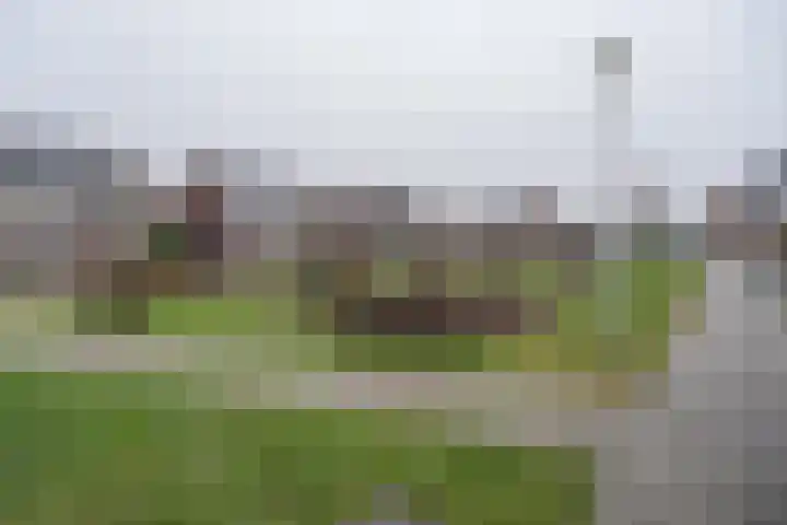 Oeverwal 3 Ammerzoden thumbnail 31