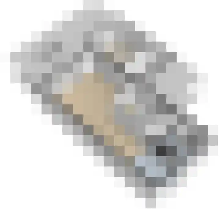 Oeverwal 3 Ammerzoden thumbnail 35