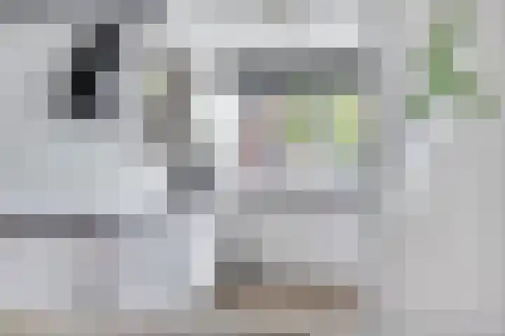 Oeverwal 3 Hendrik-Ido-Ambacht thumbnail 10