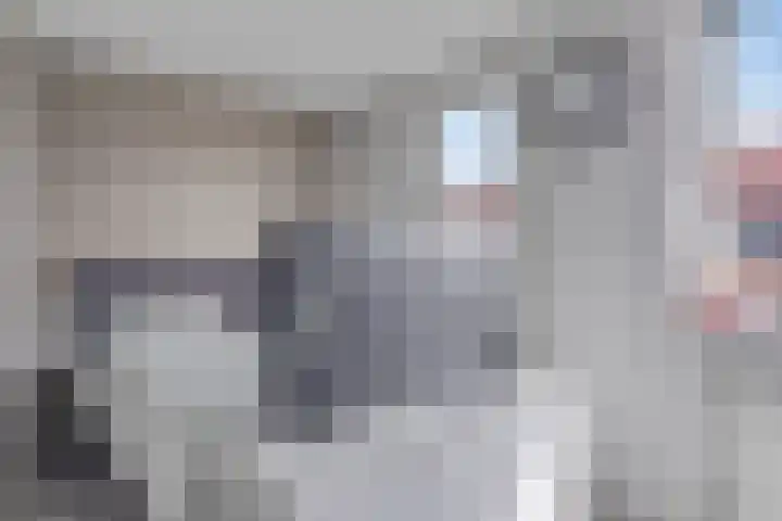 Oeverwal 3 Hendrik-Ido-Ambacht thumbnail 13