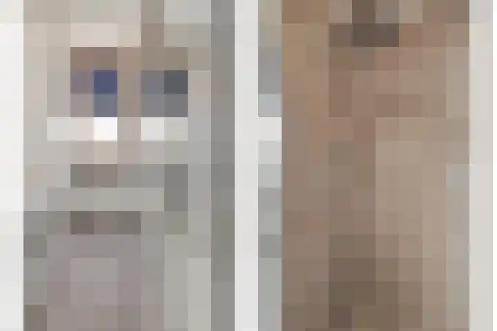 Oeverwal 3 Hendrik-Ido-Ambacht thumbnail 16
