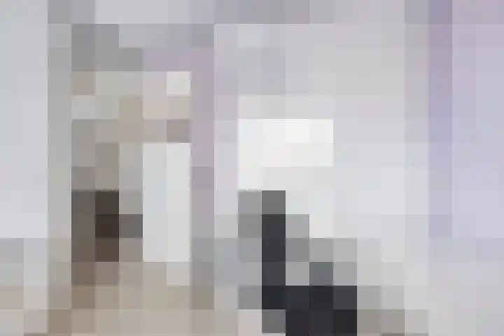 Oeverwal 3 Hendrik-Ido-Ambacht thumbnail 18