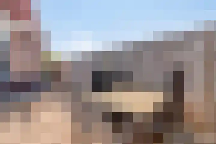 Oeverwal 3 Hendrik-Ido-Ambacht thumbnail 22