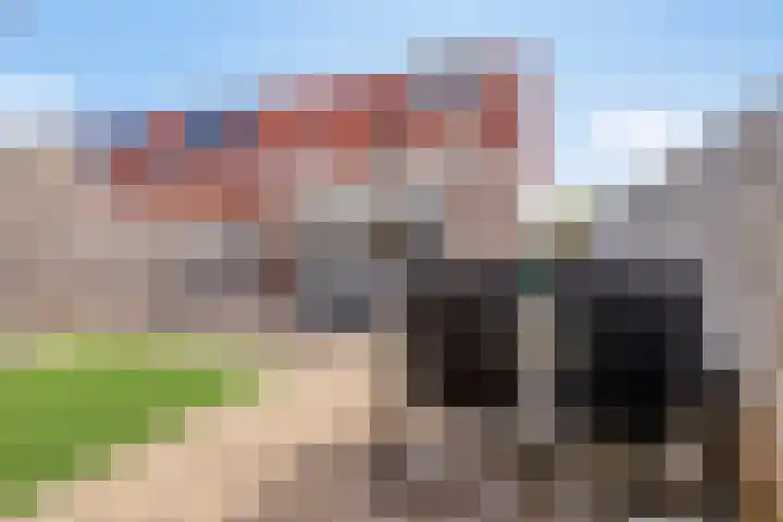 Oeverwal 3 Hendrik-Ido-Ambacht thumbnail 23