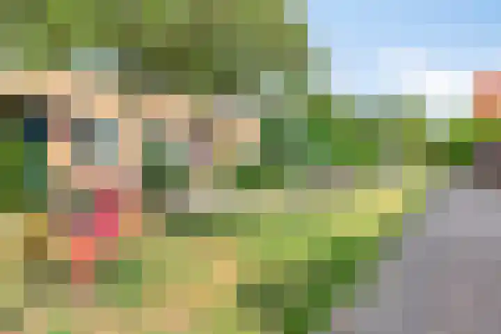 Oeverwal 3 Hendrik-Ido-Ambacht thumbnail 24