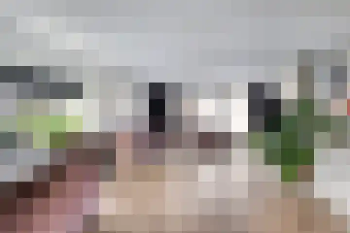 Oeverwal 3 Hendrik-Ido-Ambacht thumbnail 5