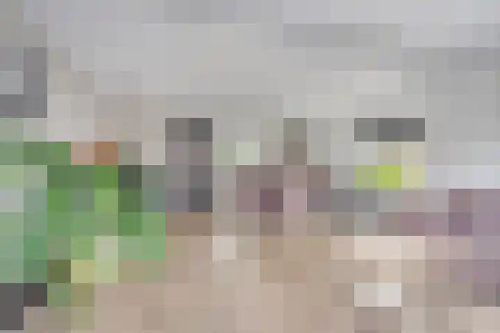 Oeverwal 3 Hendrik-Ido-Ambacht thumbnail 6