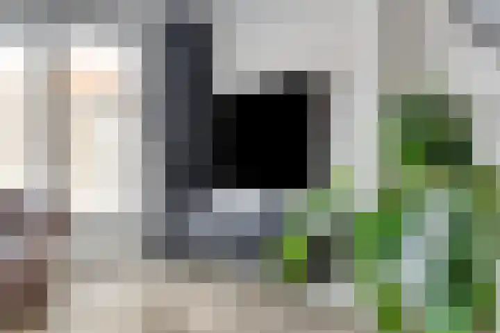 Oeverwal 3 Hendrik-Ido-Ambacht thumbnail 7